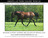 Afer_box_jack copy